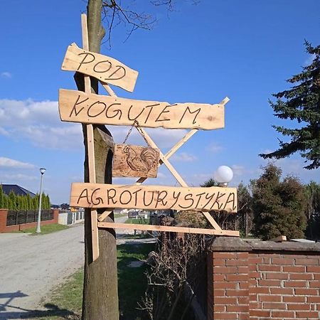 Agroturystyka Pod Kogutem Zamosc  Exterior photo