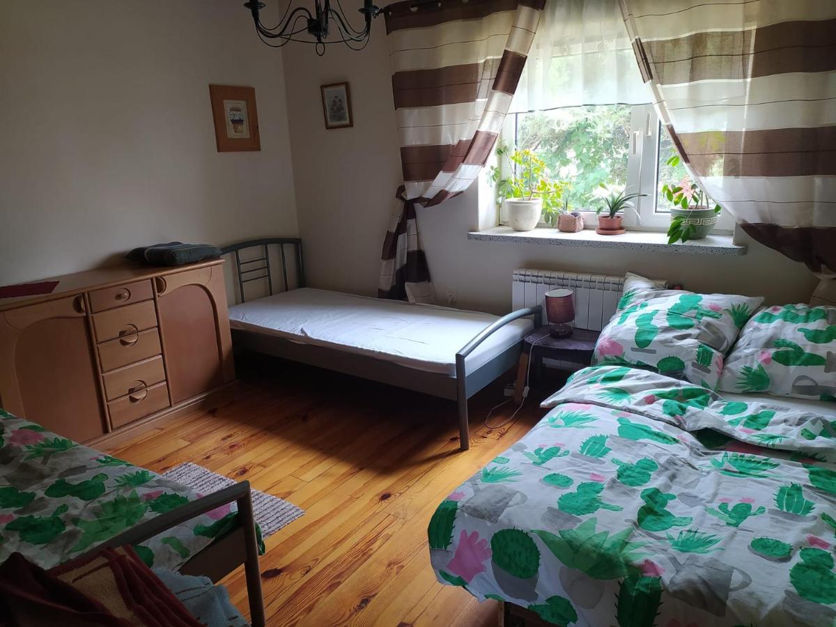 Agroturystyka Pod Kogutem Zamosc  Exterior photo