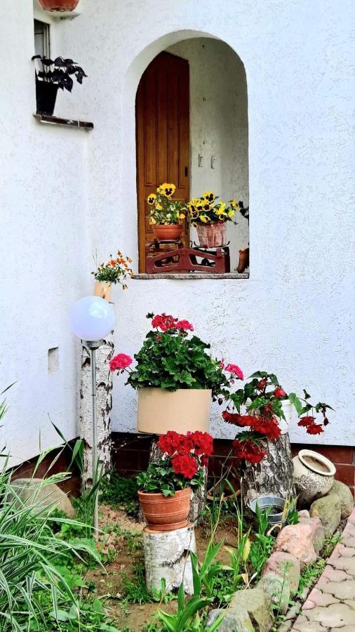 Agroturystyka Pod Kogutem Zamosc  Exterior photo