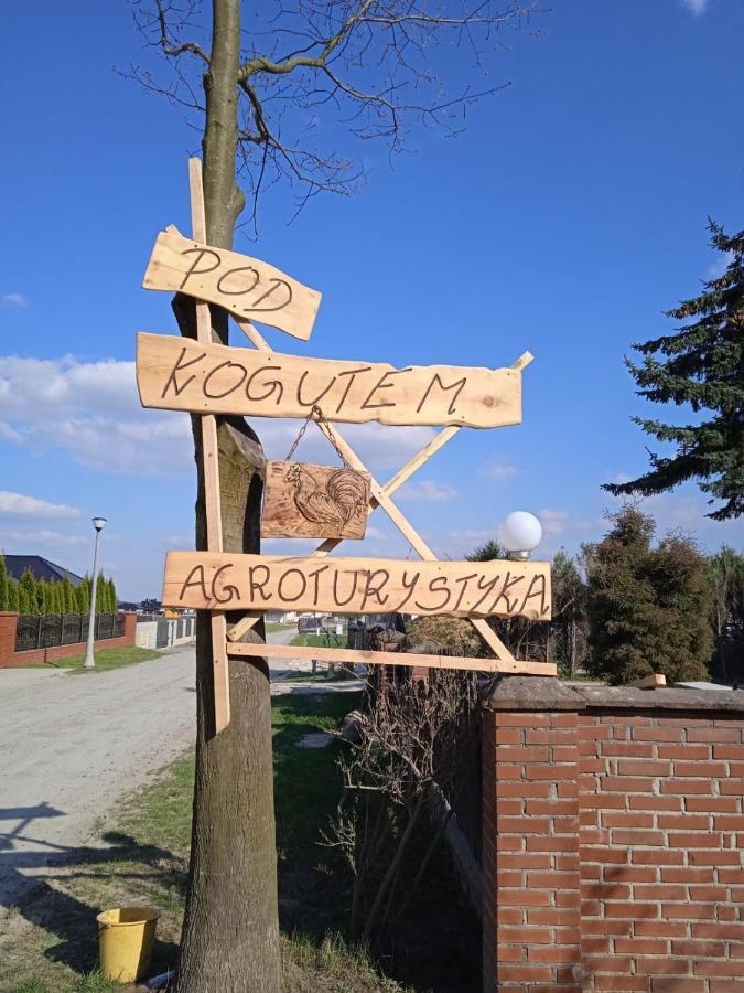 Agroturystyka Pod Kogutem Zamosc  Exterior photo