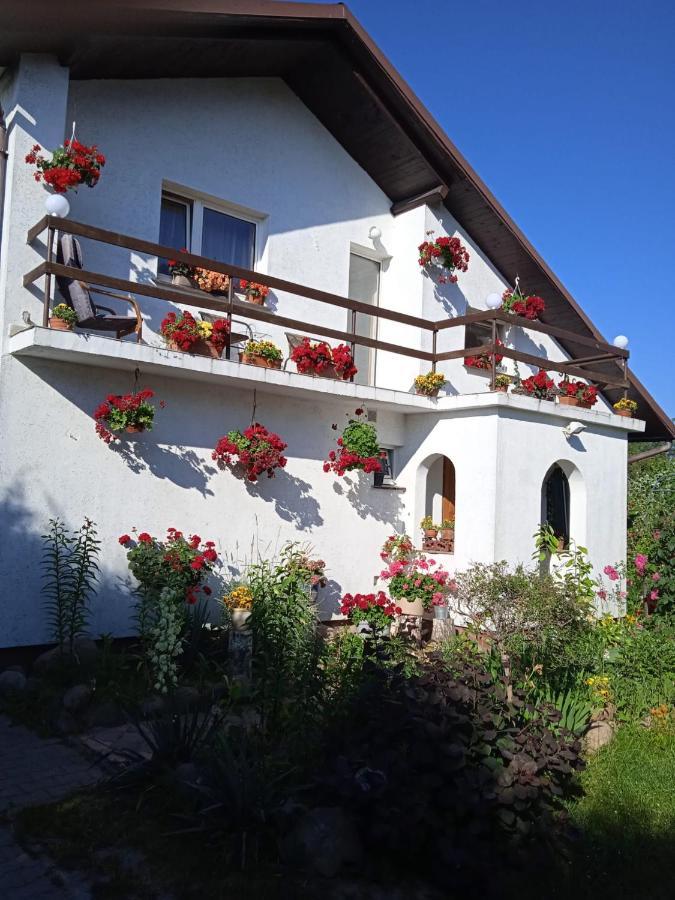 Agroturystyka Pod Kogutem Zamosc  Exterior photo