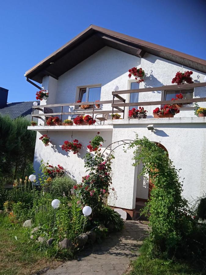 Agroturystyka Pod Kogutem Zamosc  Exterior photo