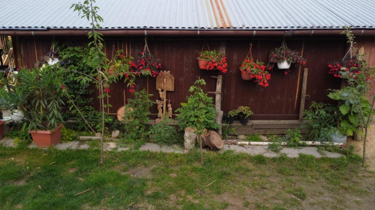 Agroturystyka Pod Kogutem Zamosc  Exterior photo