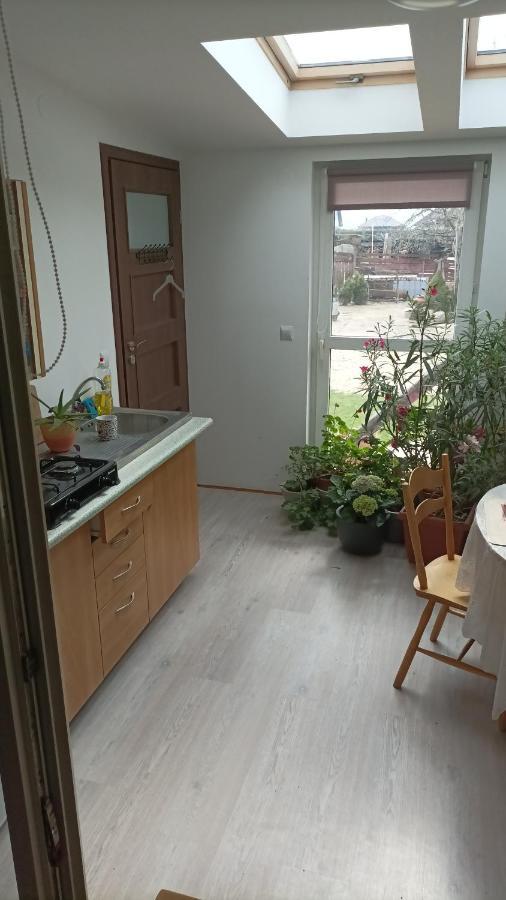 Agroturystyka Pod Kogutem Zamosc  Exterior photo